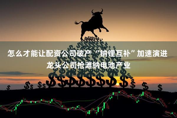 怎么才能让配资公司破产 “钠锂互补”加速演进 龙头公司抢滩钠电池产业