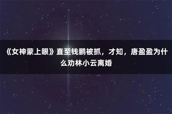 《女神蒙上眼》直至钱鹏被抓，才知，唐盈盈为什么劝林小云离婚