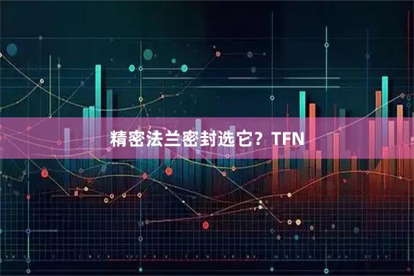 精密法兰密封选它？TFN